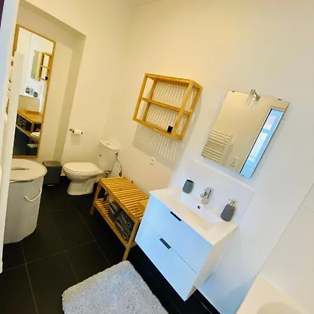 Διαμέρισμα Appartement 65 M2 Dans Rue Pietonne De Lille *